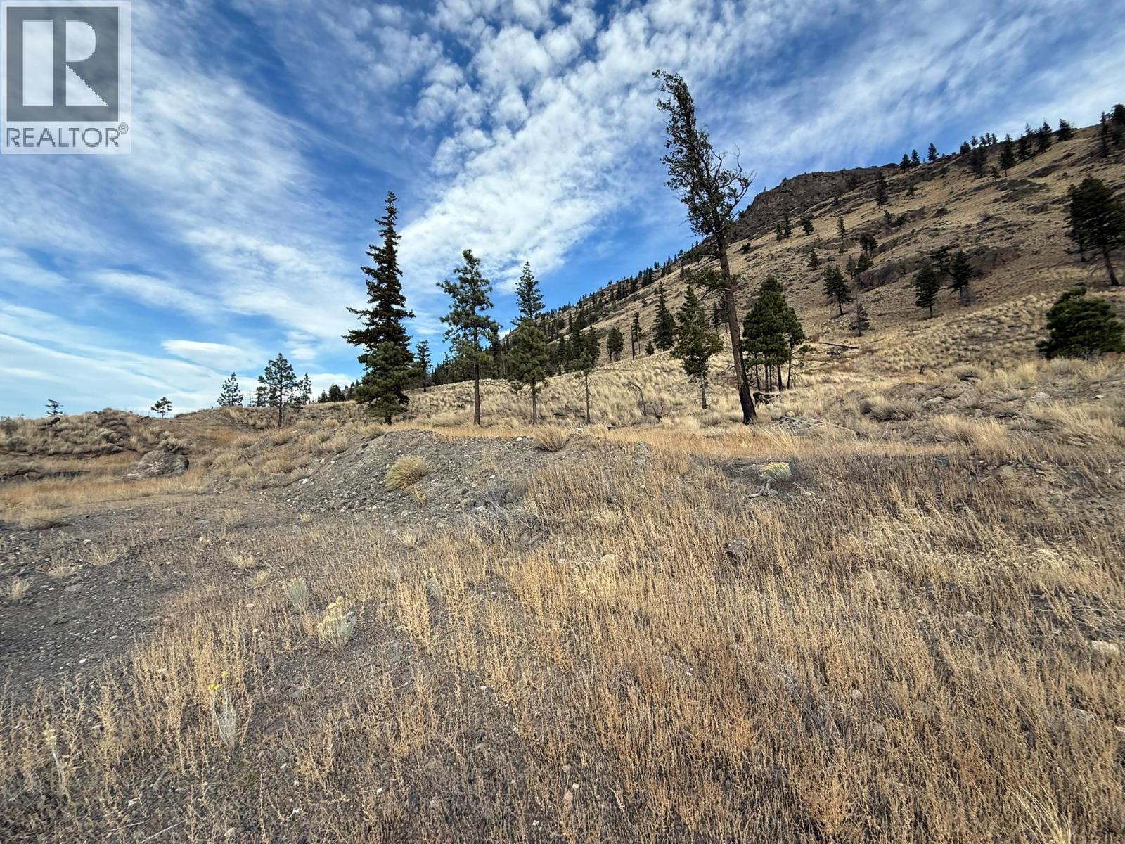 3580 CARIBOO 97 HIGHWAY - 17