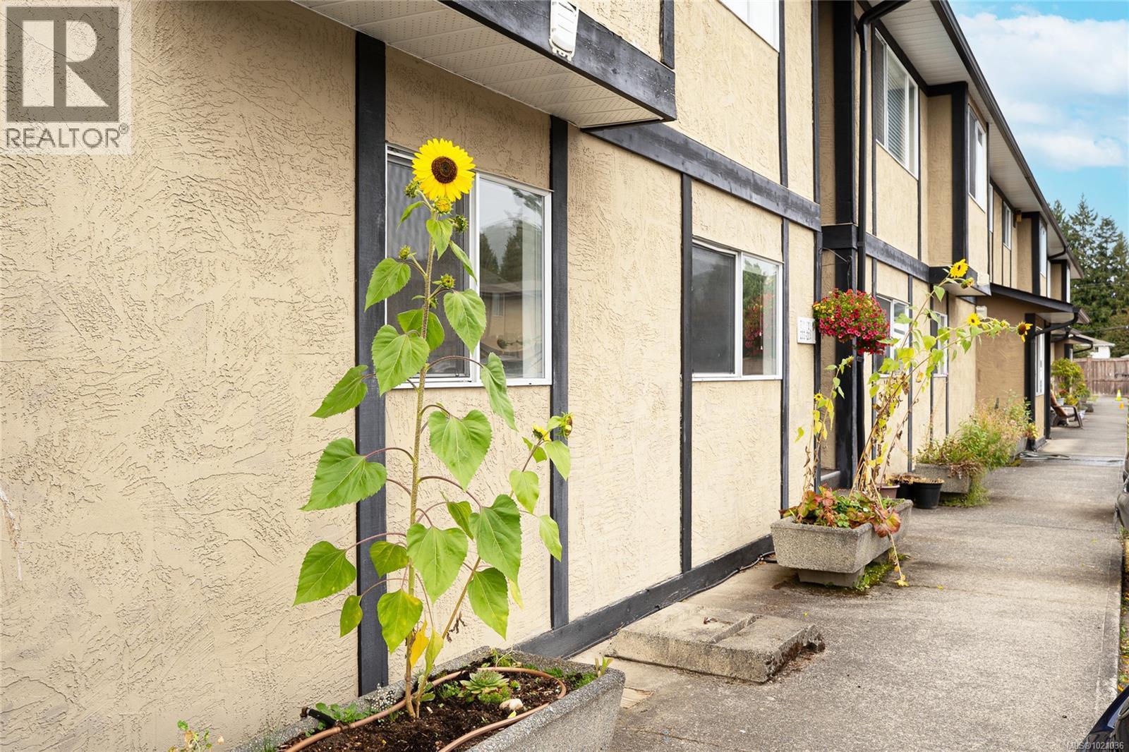 103 2525 Dingwall St, Duncan