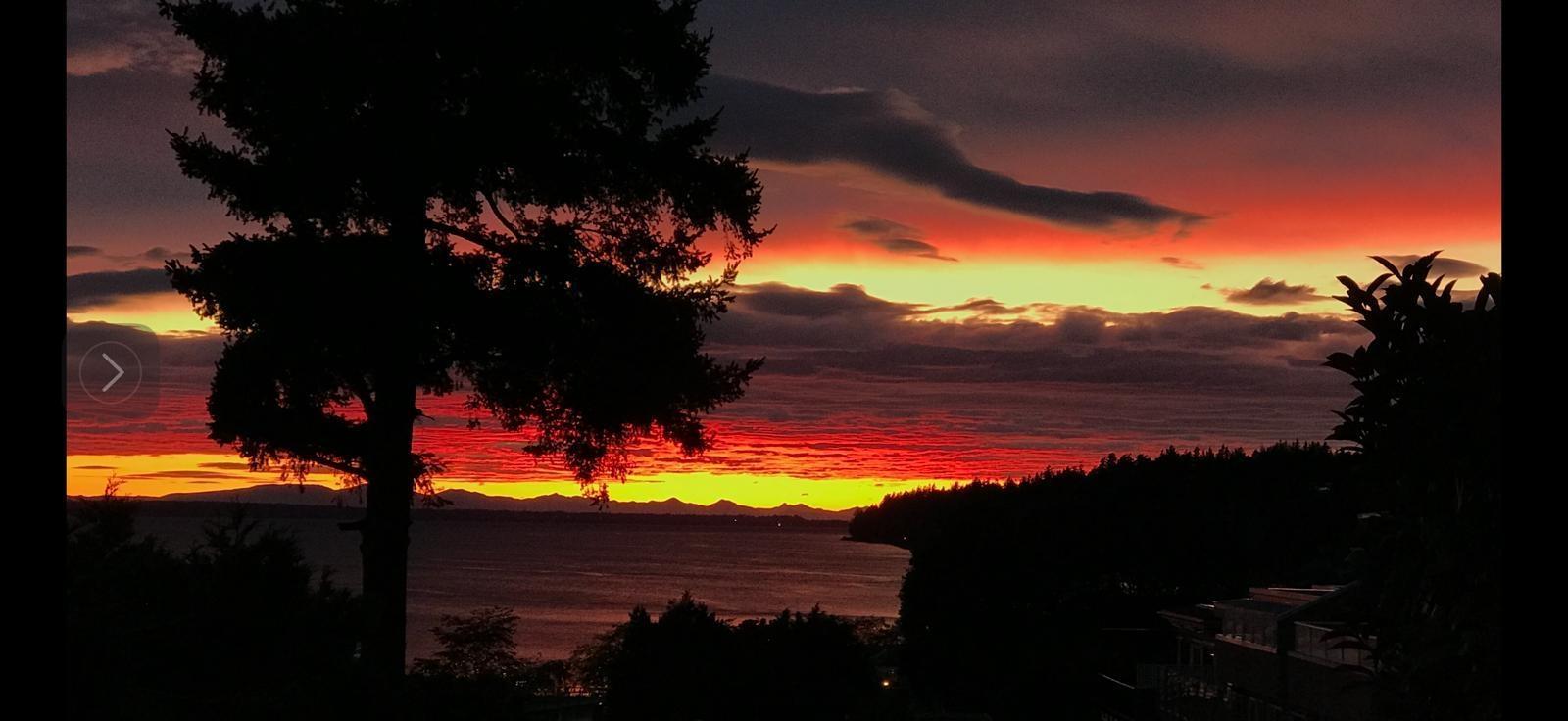 402 15025 VICTORIA AVENUE, White Rock