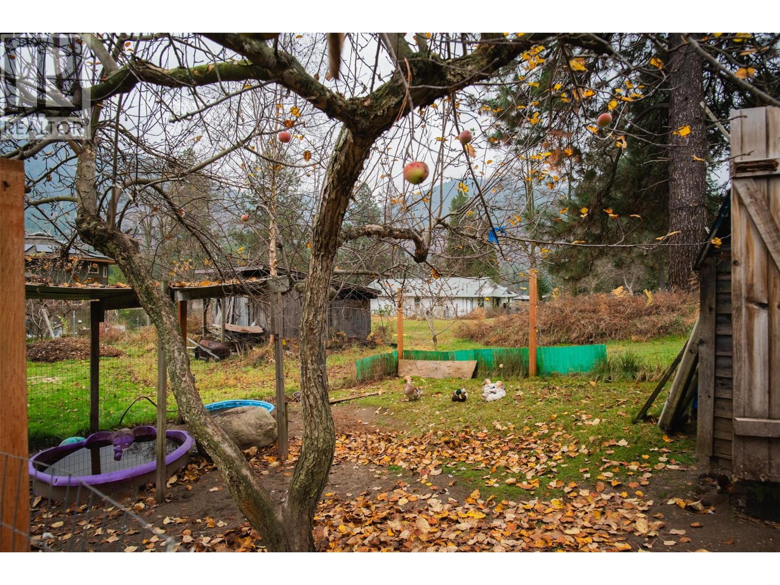 810A 16TH AVENUE - 34