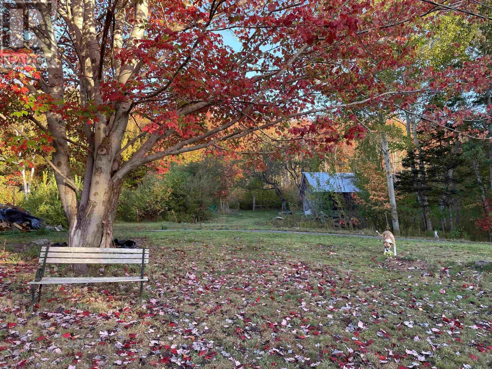 Property 47 of 48 of 10783 Highway 105