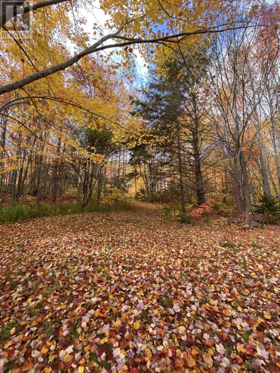 Property 9 of 48 of 10783 Highway 105