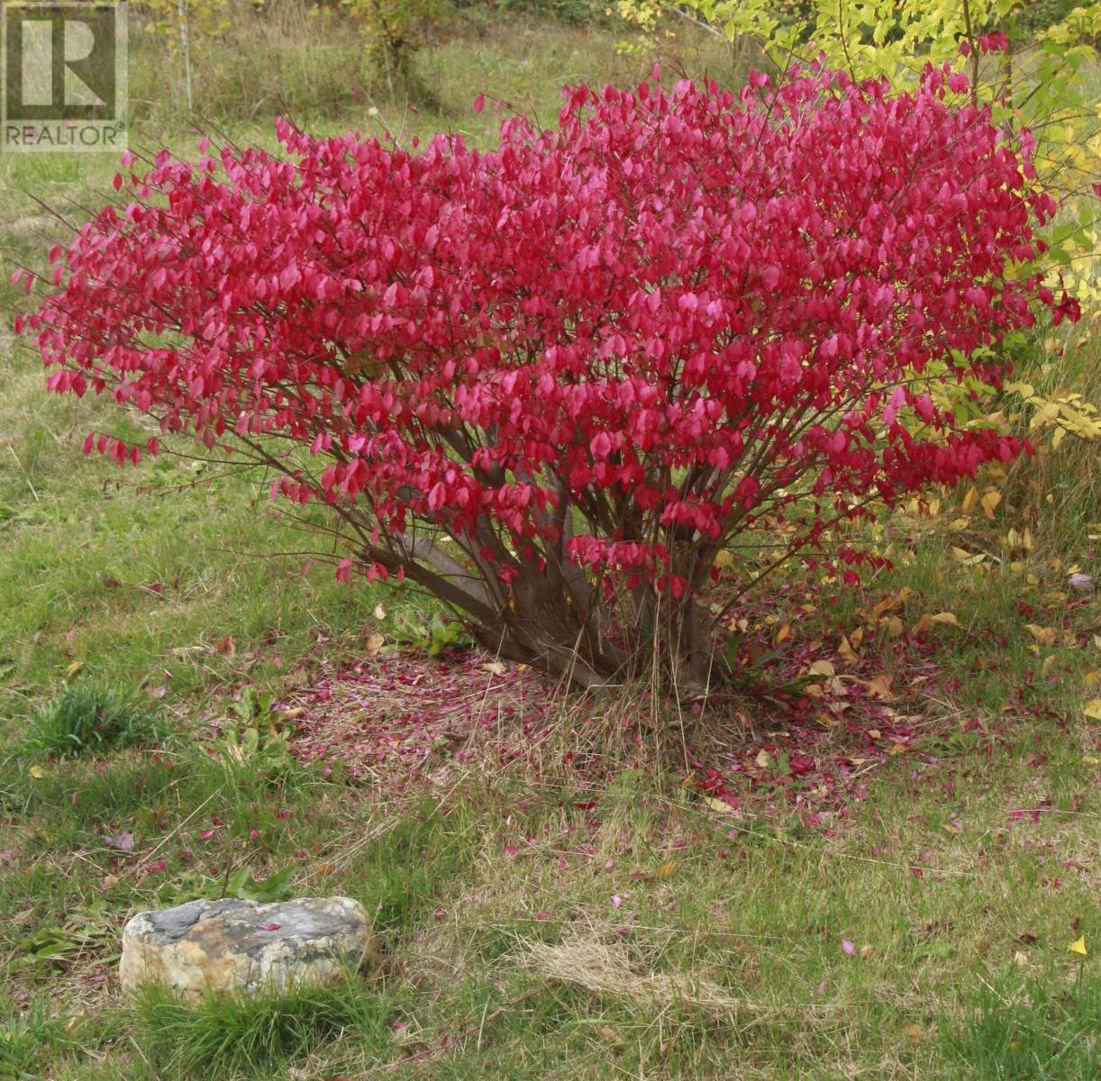 Property 31 of 48 of 10783 Highway 105