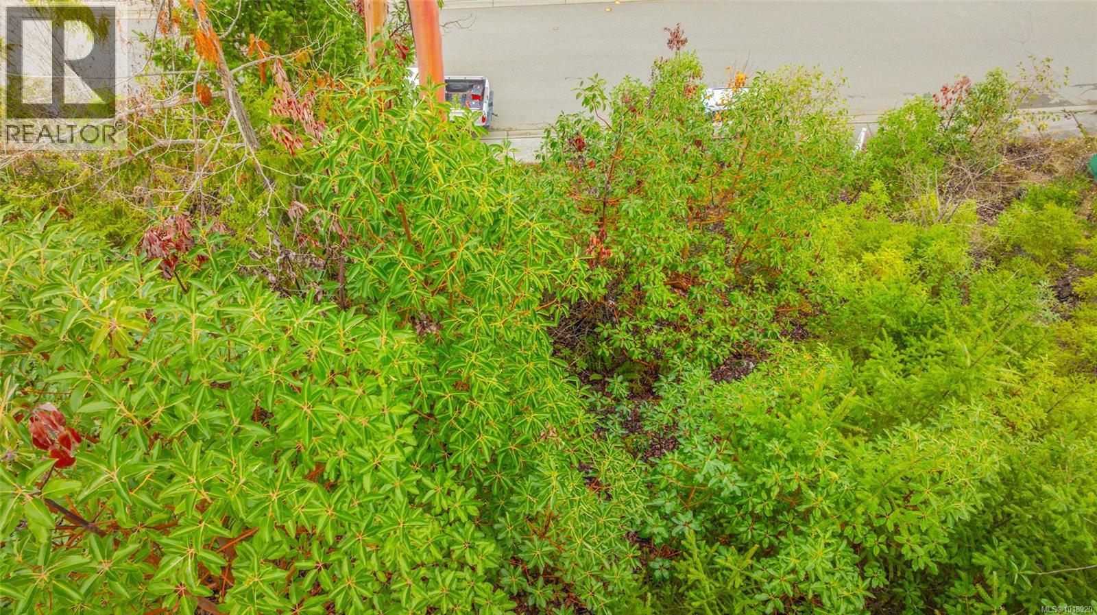 426 Thetis Dr, Ladysmith