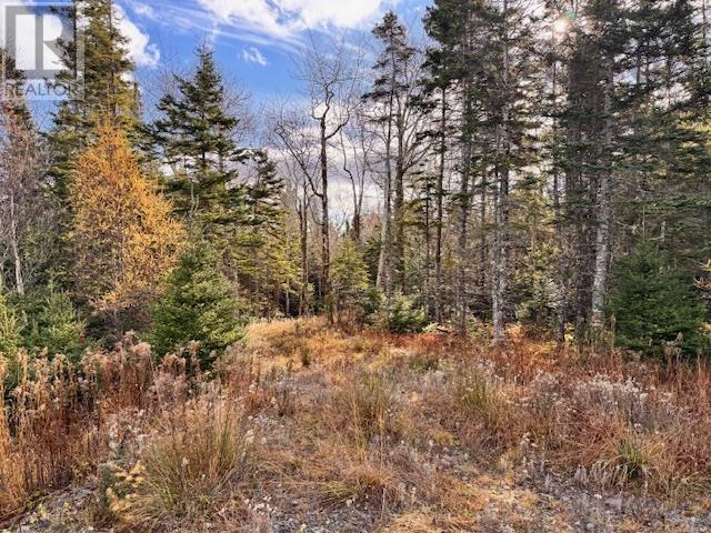 Property 14 of 24 of Lot 1A-17 Maple Drive