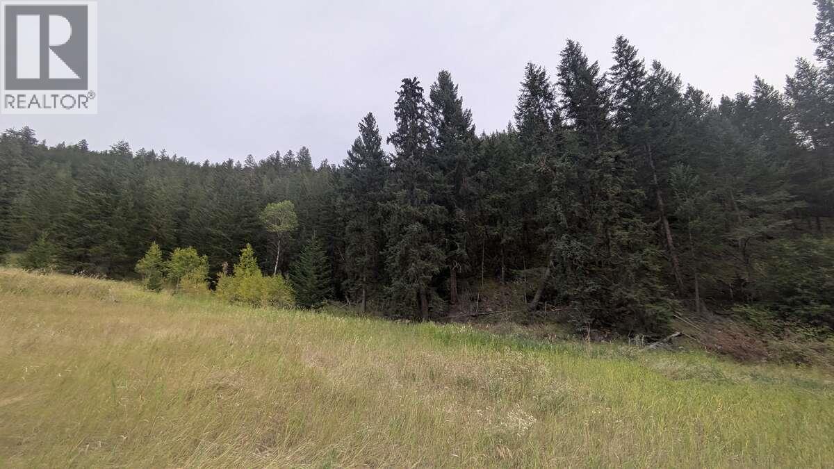 6930 BIG BAR ROAD - 43