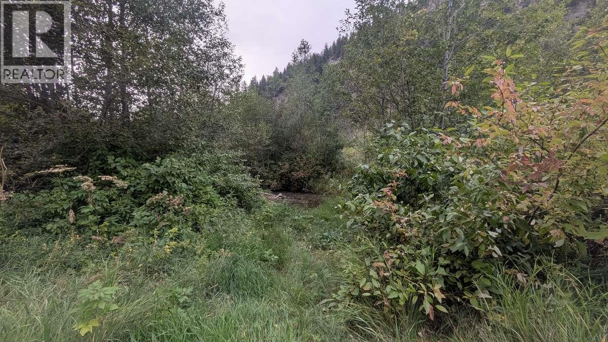 6930 BIG BAR ROAD - 47