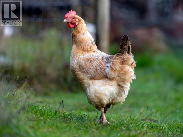 2560 MAYWOOD ROAD, Powell River