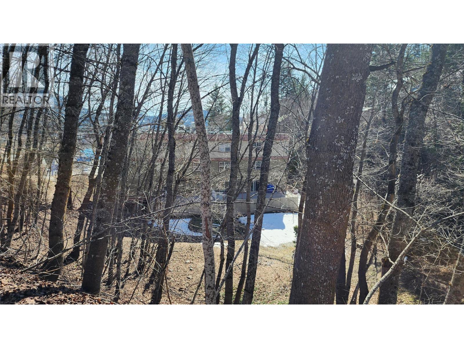 2165 Spokane Street, Rossland