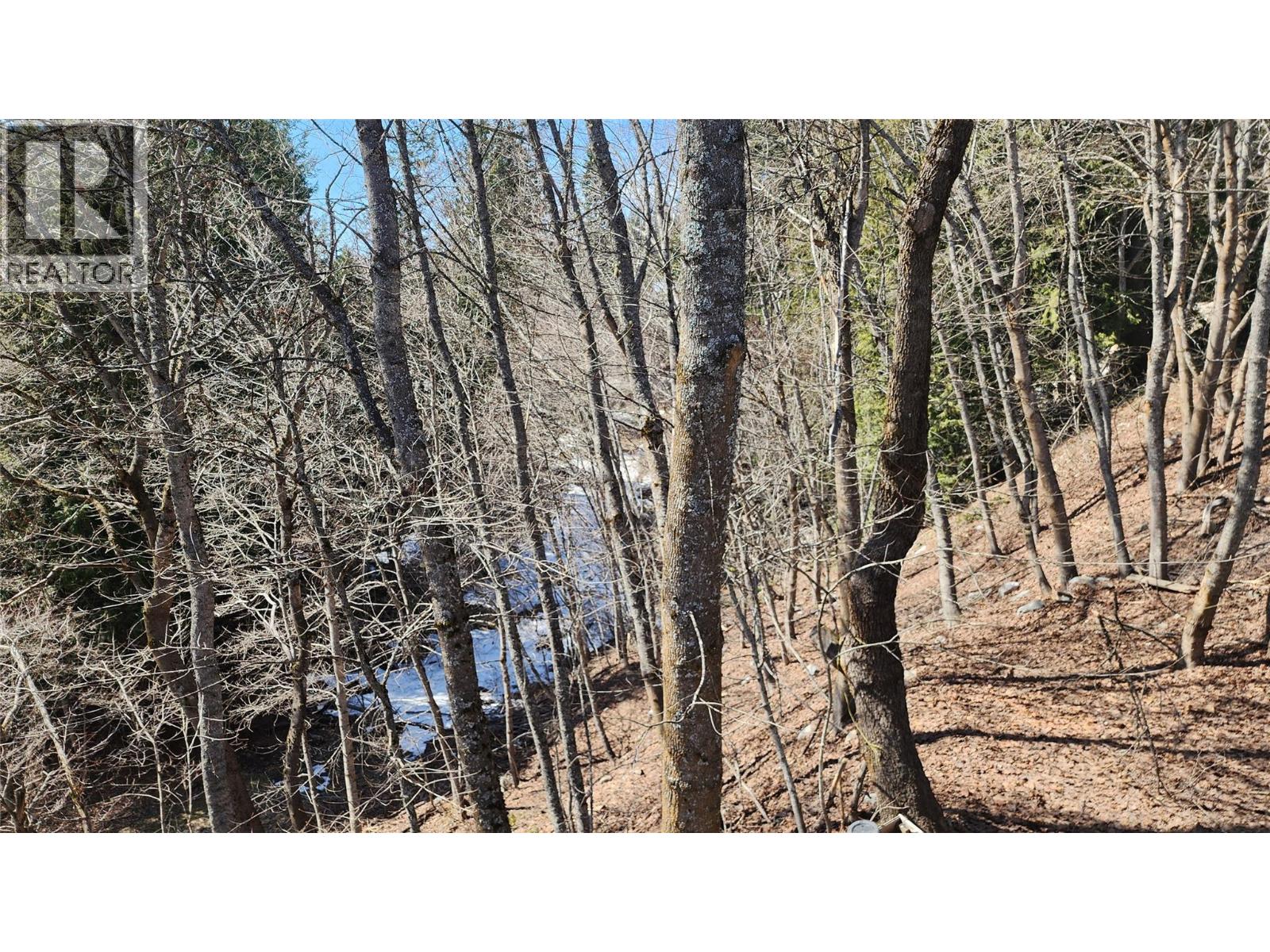 2165 Spokane Street, Rossland