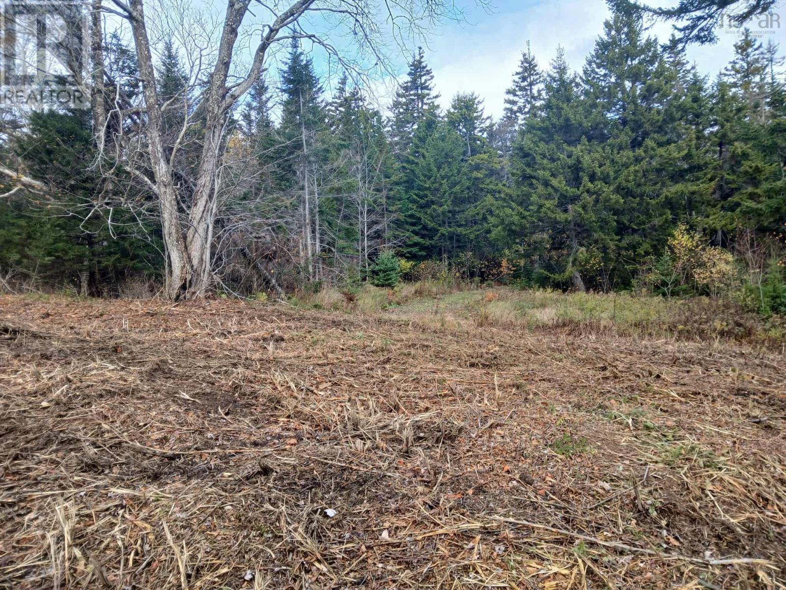 Property 5 of 8 of 8C Bayview Court