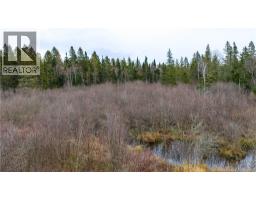 Lot 2019-1 Route 121, Bloomfield, NB E5N4V2 Photo 13