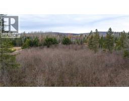 Lot 2019-1 Route 121, Bloomfield, NB E5N4V2 Photo 14