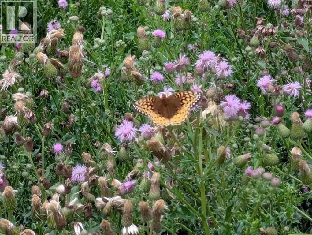 15030 674 Township, Lac La Biche