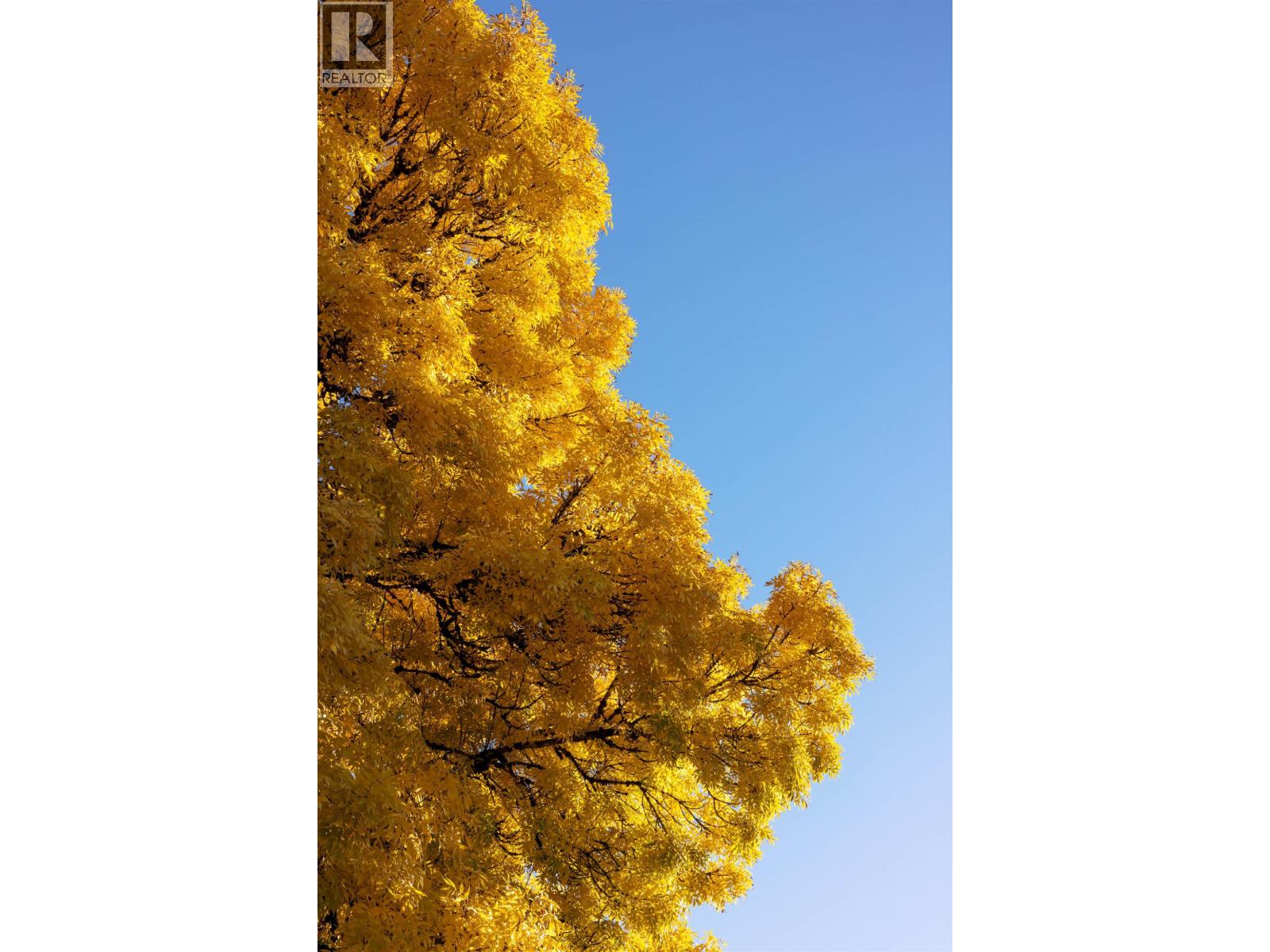 2719 E 46TH AVENUE, Vancouver