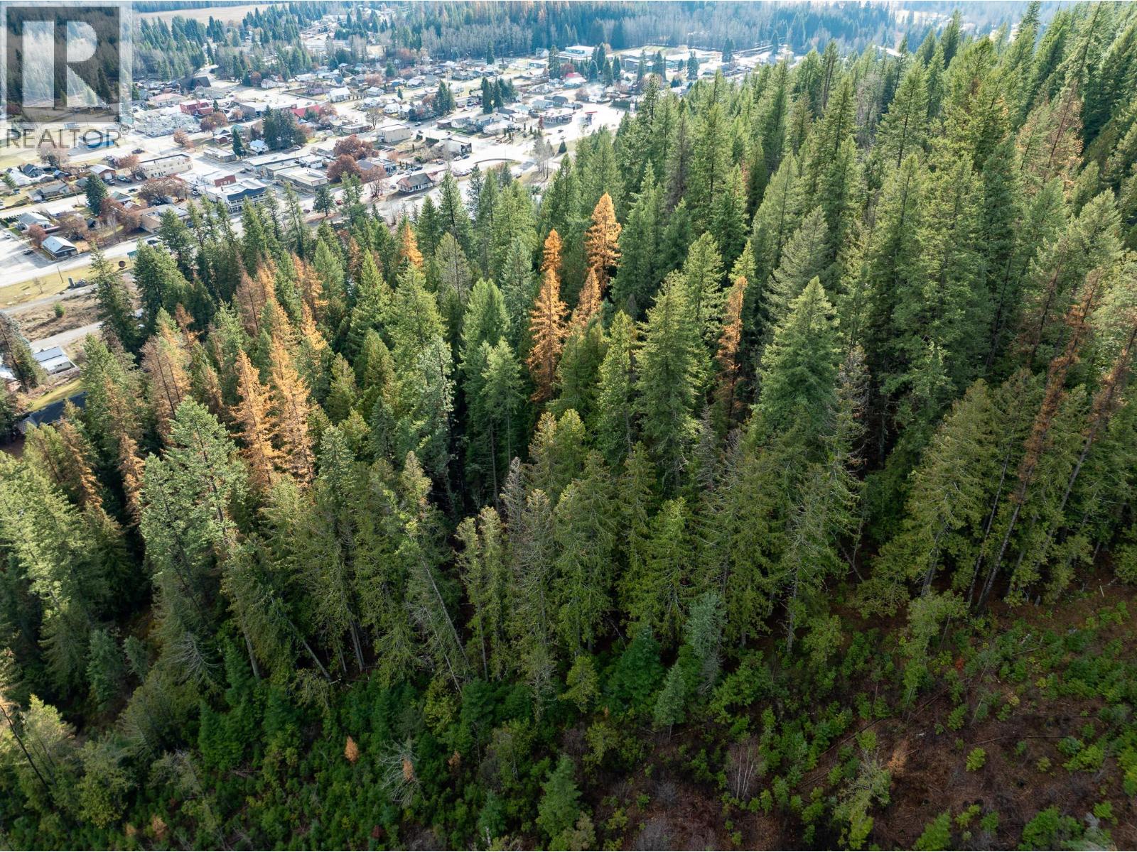 Lot A Maclure Avenue, Salmo