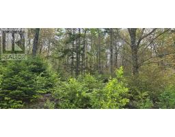 Lot 4 Nathan Croft Road, Camperdown Meadows, Camperdown, NS B4V6T9 Photo 12