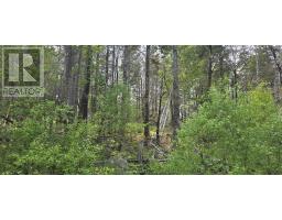 Lot 2 Nathan Croft Road, Camperdown Meadows, Camperdown, NS B4V6T9 Photo 21