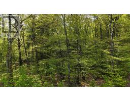 Lot 2 Nathan Croft Road, Camperdown Meadows, Camperdown, NS B4V6T9 Photo 14