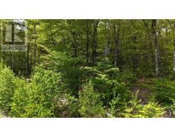 Lot 2 Nathan Croft Road, Camperdown Meadows, Camperdown, NS B4V6T9 Photo 16