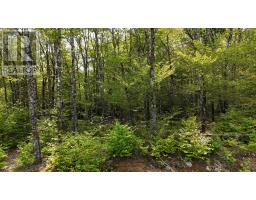 Lot 2 Nathan Croft Road, Camperdown Meadows, Camperdown, NS B4V6T9 Photo 23