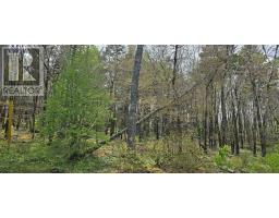 Lot 2 Nathan Croft Road, Camperdown Meadows, Camperdown, NS B4V6T9 Photo 6