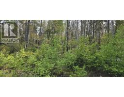 Lot 4 Nathan Croft Road, Camperdown Meadows, Camperdown, NS B4V6T9 Photo 7