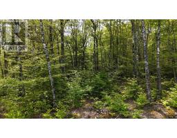 Lot 2 Nathan Croft Road, Camperdown Meadows, Camperdown, NS B4V6T9 Photo 22