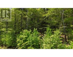 Lot 2 Nathan Croft Road, Camperdown Meadows, Camperdown, NS B4V6T9 Photo 15
