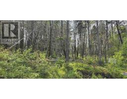 Lot 2 Nathan Croft Road, Camperdown Meadows, Camperdown, NS B4V6T9 Photo 20