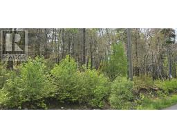 Lot 2 Nathan Croft Road, Camperdown Meadows, Camperdown, NS B4V6T9 Photo 24