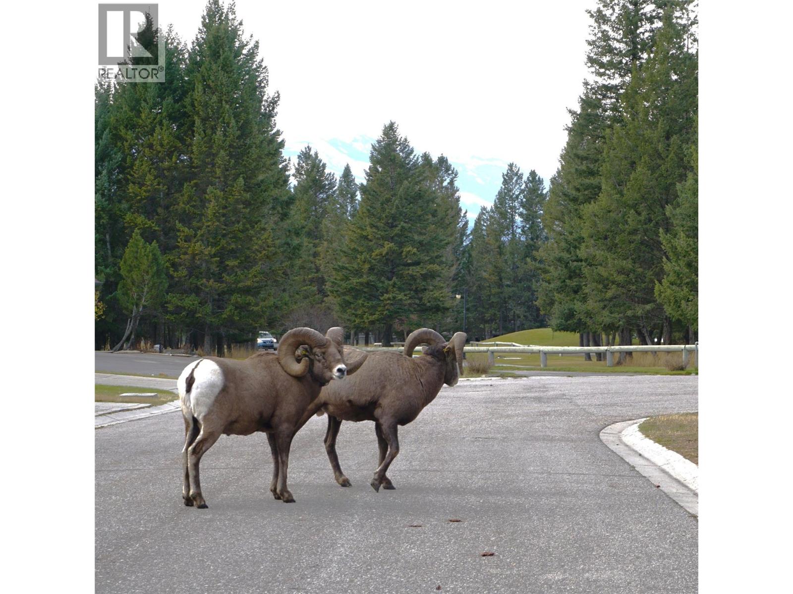 900 Bighorn Boulevard Unit# 931 Lot# 154, Radium Hot Springs