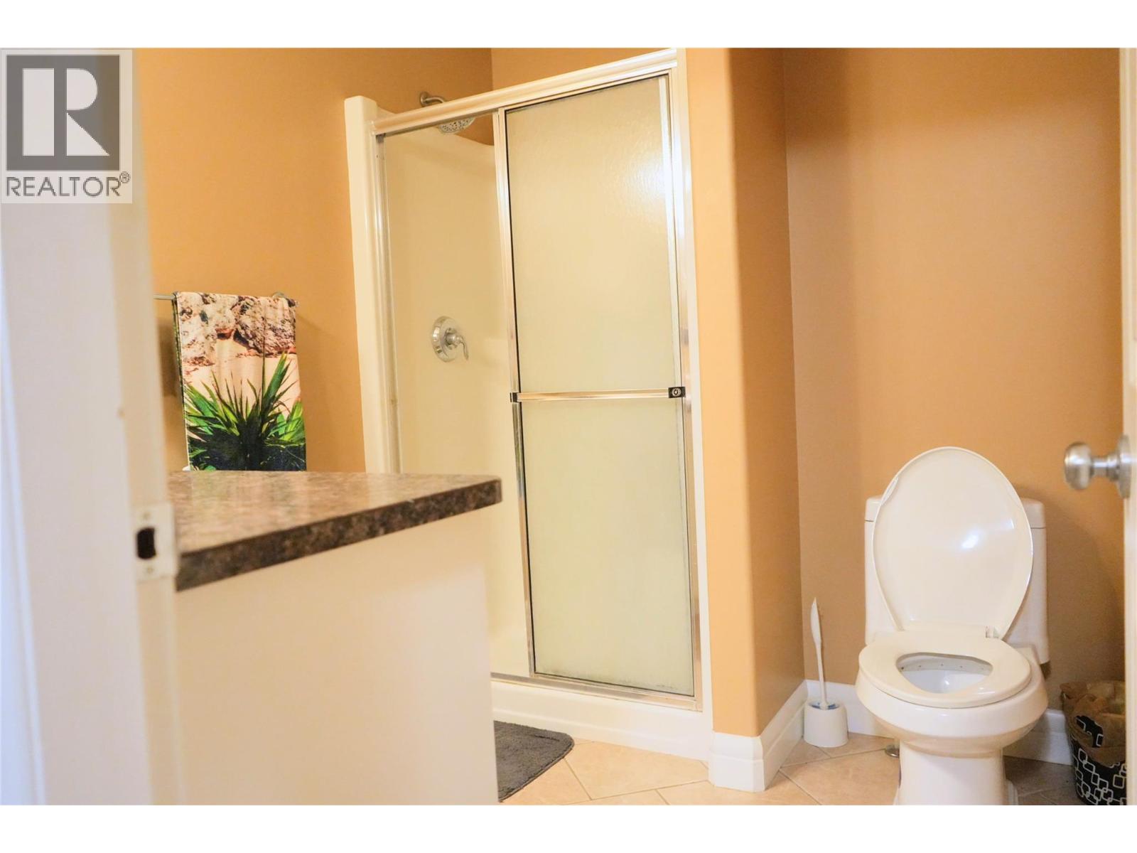 219 100 Avenue, Dawson Creek