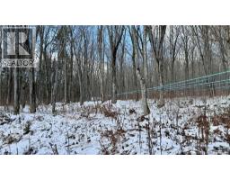 NA Woods Road, photo 20