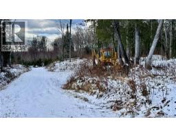 NA Woods Road, photo 22