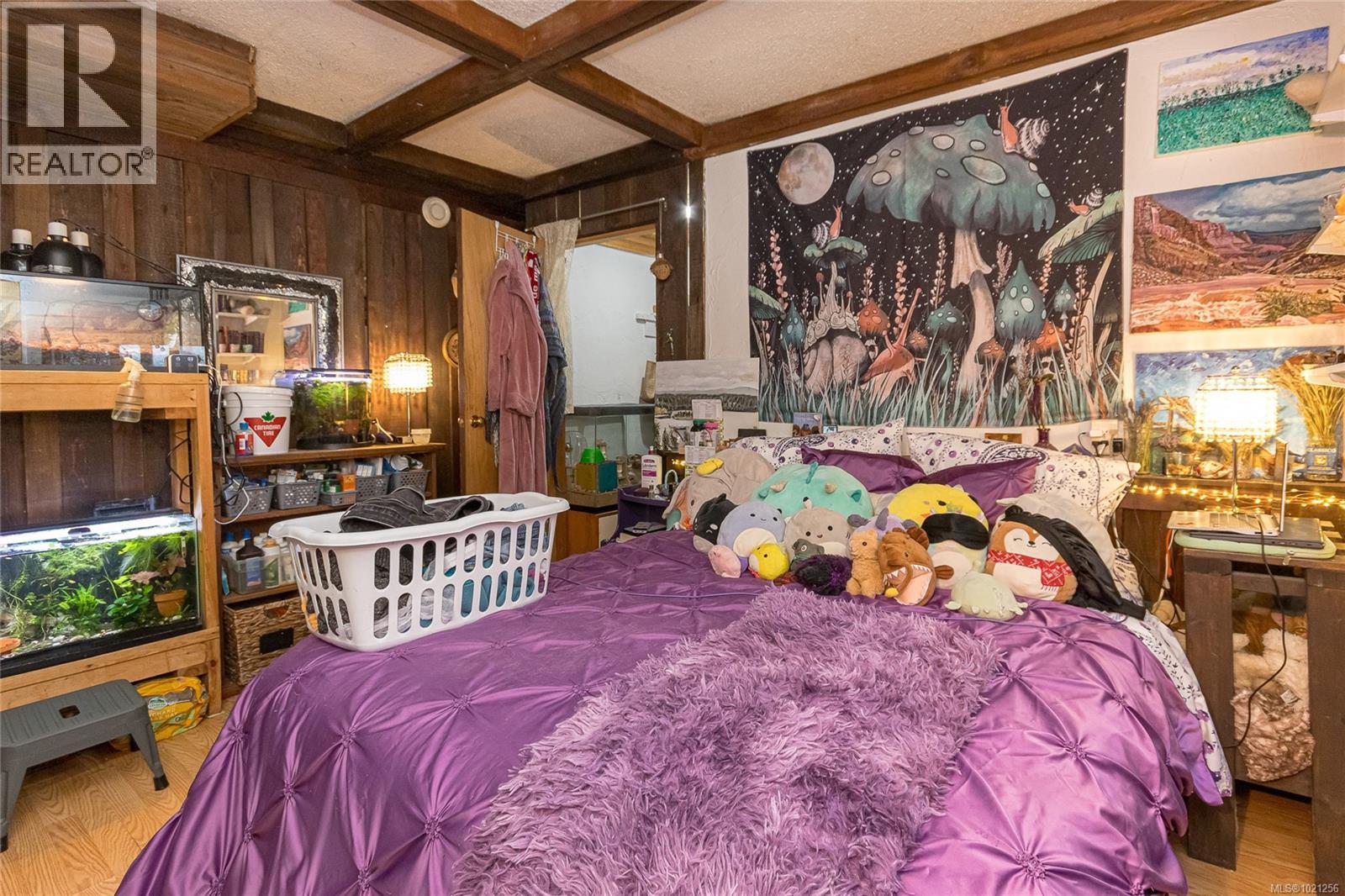  1645 Haultain Street, Victoria