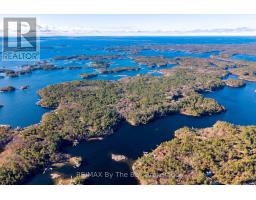Lot 1 Island 1810/bone Island, Georgian Bay, ON L0K1E0 Photo 13