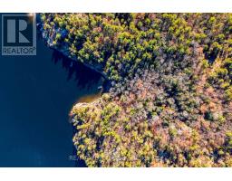 Lot 1 Island 1810/bone Island, Georgian Bay, ON L0K1E0 Photo 6