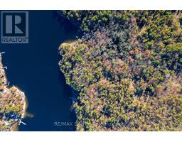 3220 Is 1810 / Bone Is, Georgian Bay, ON L0K1E0 Photo 9