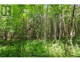 L2-3575 Paden Road, Ottawa, ON K0A2T0 Photo 8