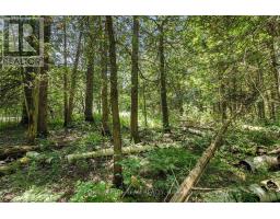 L2-3575 Paden Road, Ottawa, ON K0A2T0 Photo 7