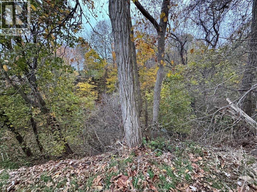 1239 OXFORD & LOT 13 OXFORD AVENUE - 43