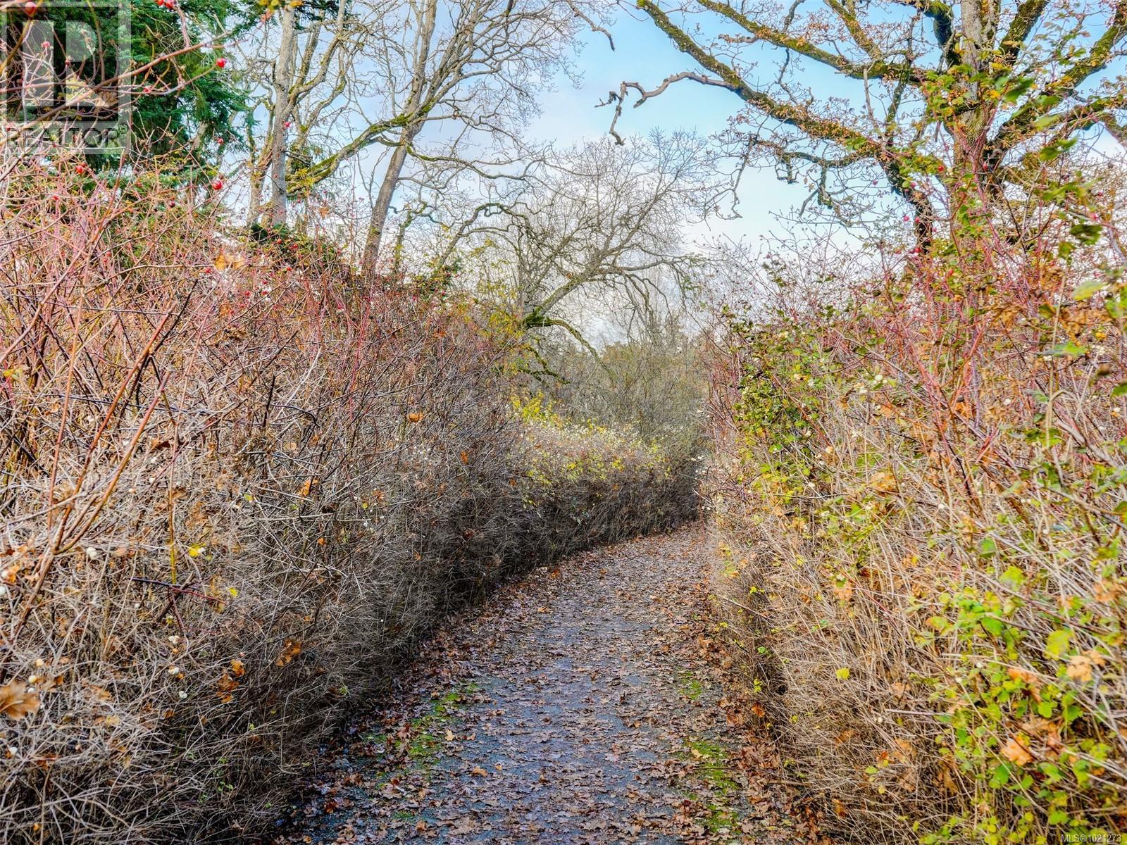  4179 Tuxedo Drive, Saanich