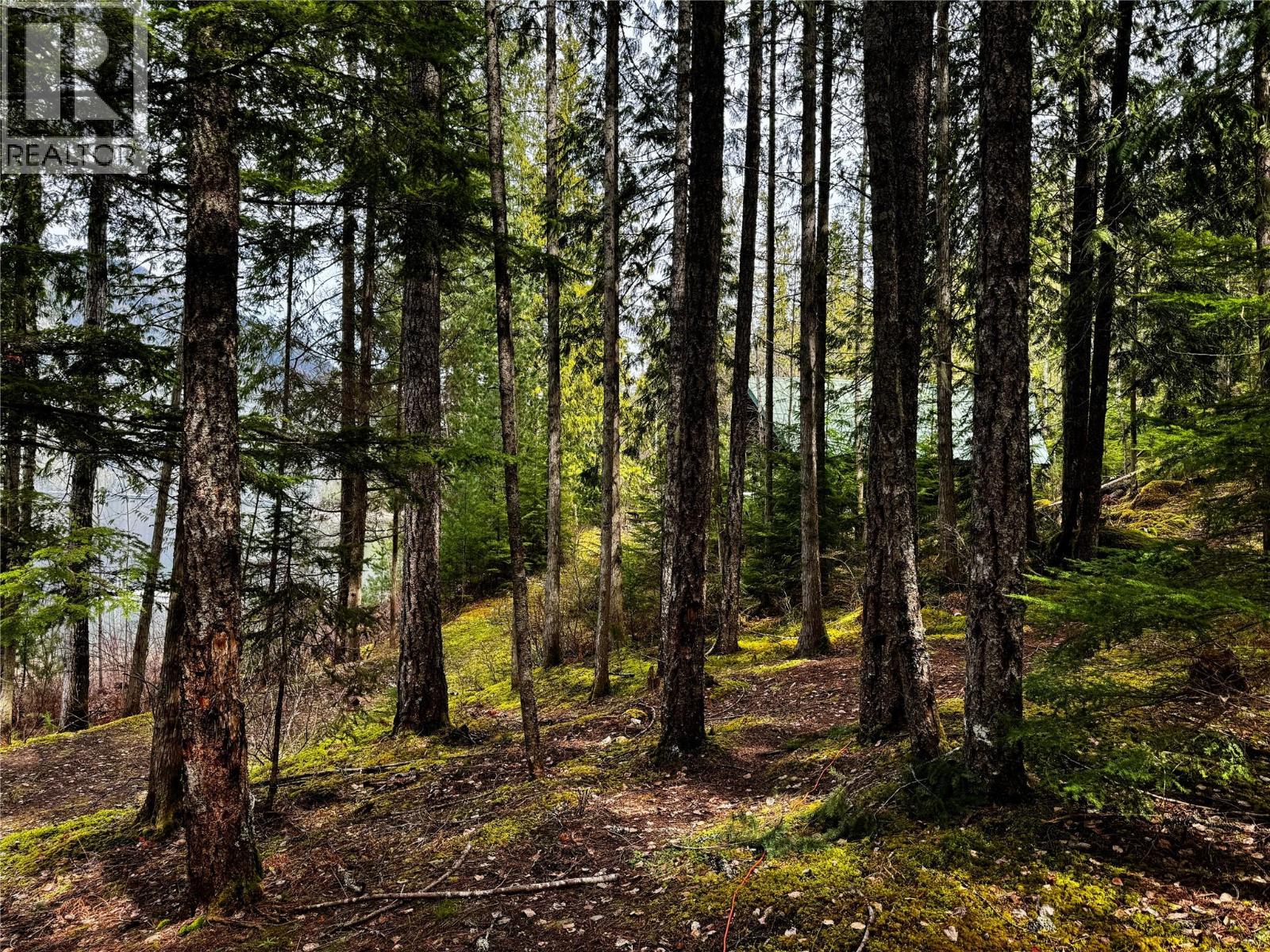  Lot 9 Pete Martin Bay, Sicamous