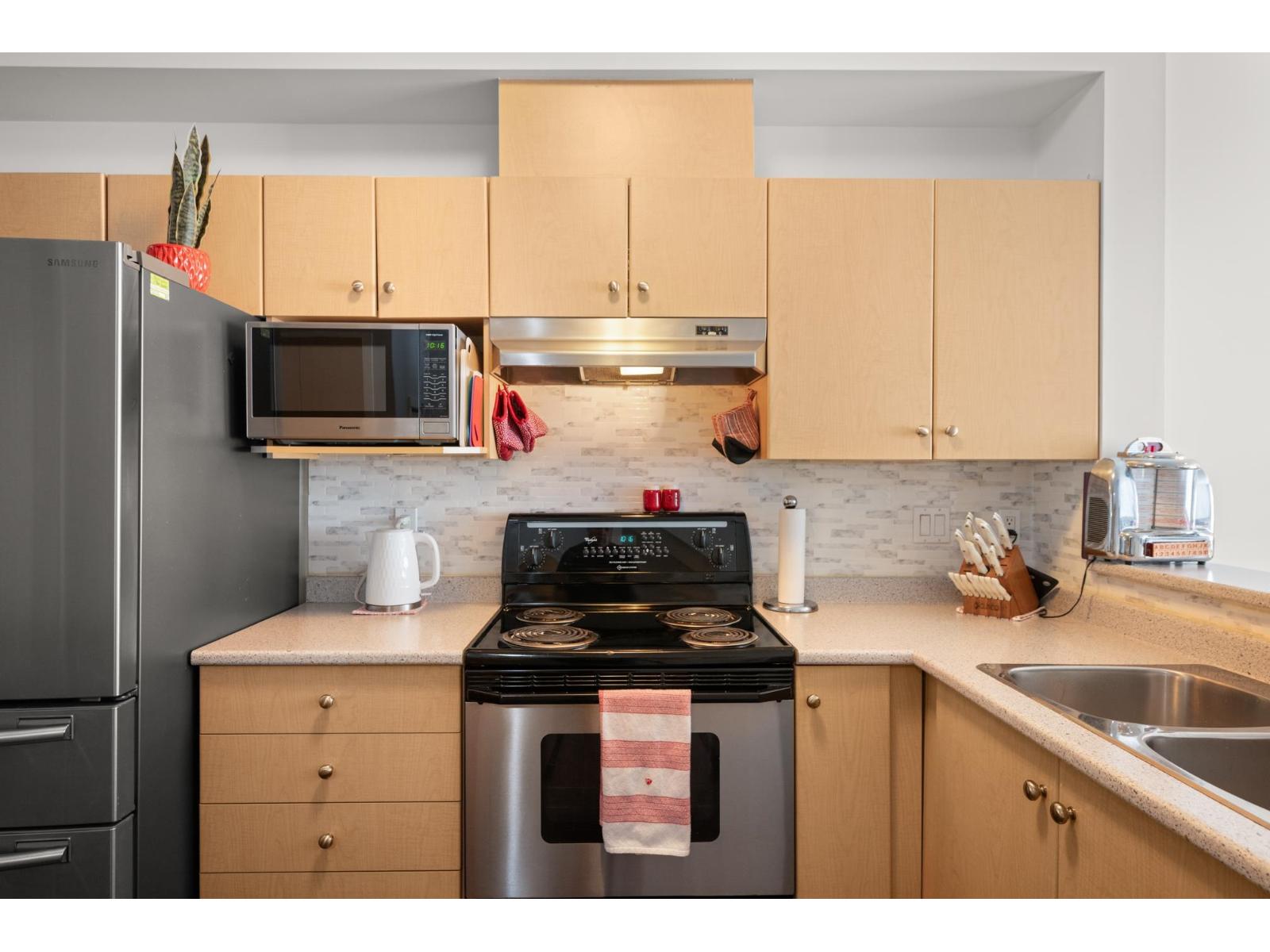 93 20460 66 AVENUE, Langley