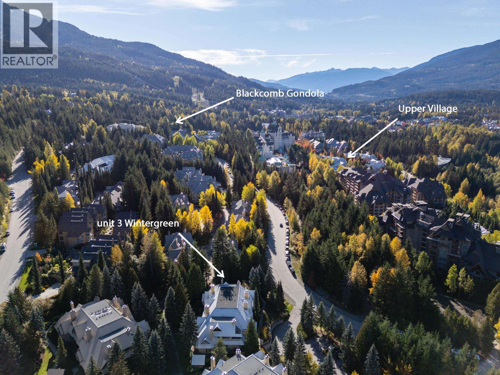 3 4725 SPEARHEAD DRIVE, Whistler