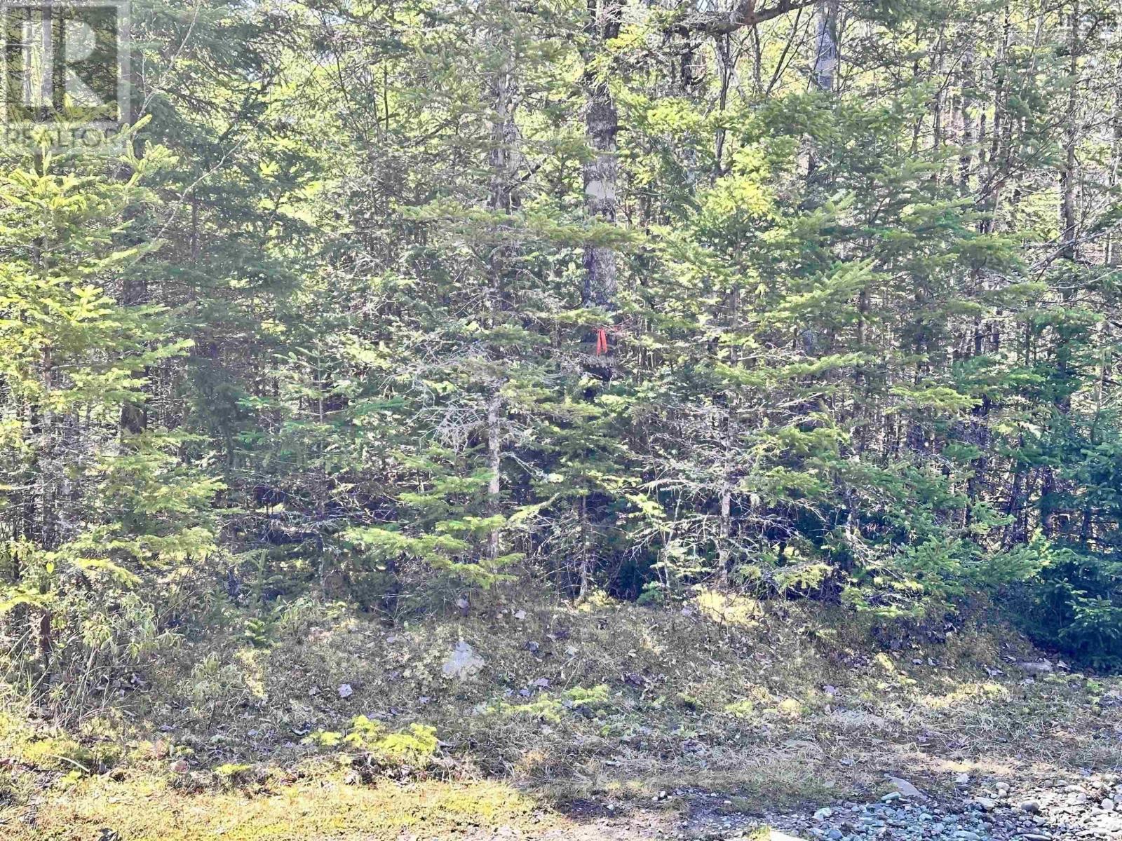 Property 18 of 19 of Grant 16738 Moser River North Road