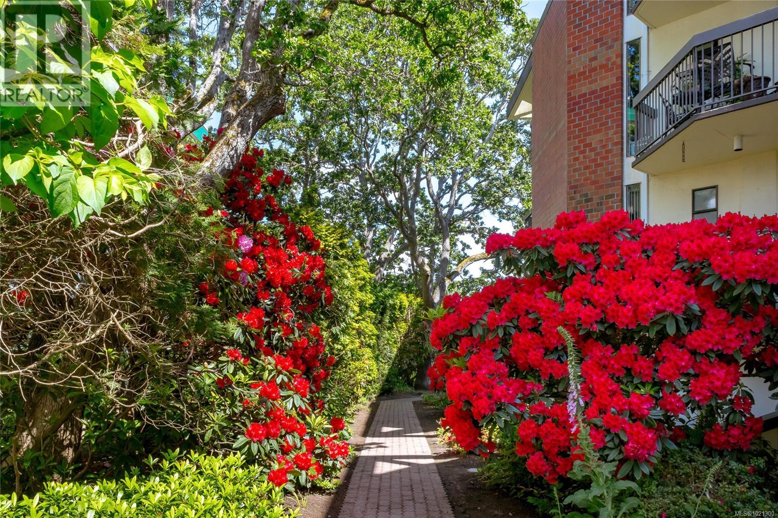 206 2119 Oak Bay Avenue, Oak Bay