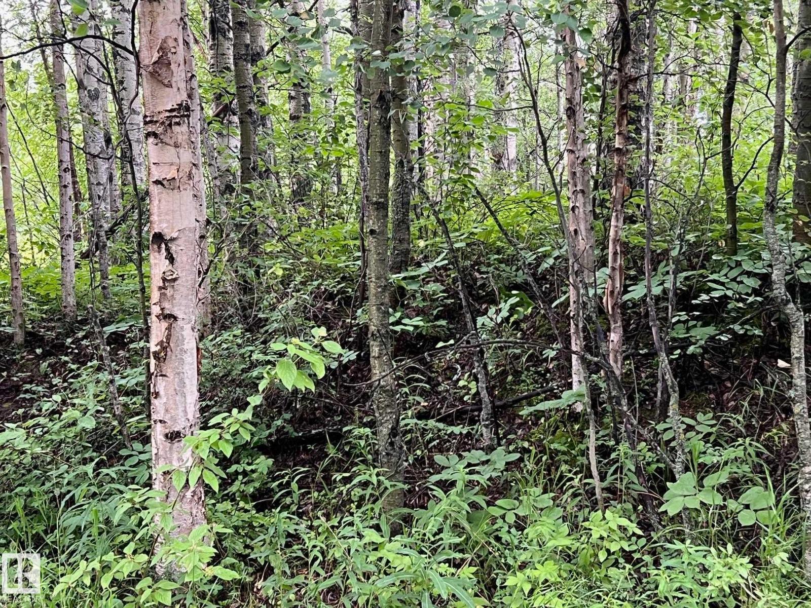 2130 2001 Twp Rd 474, Rural Leduc County