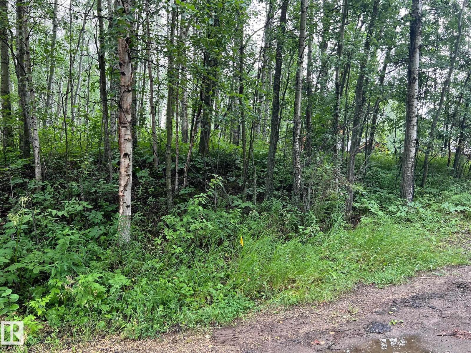 2130 2001 Twp Rd 474, Rural Leduc County